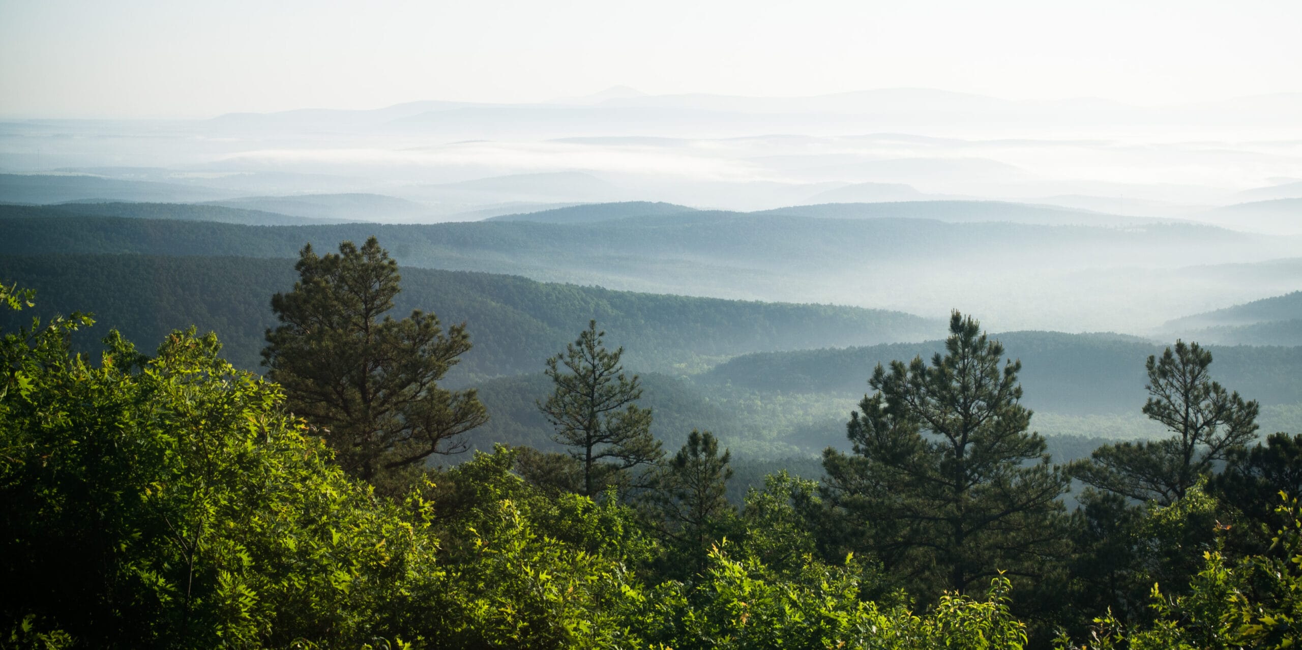 Ouachita_Mountains_2009